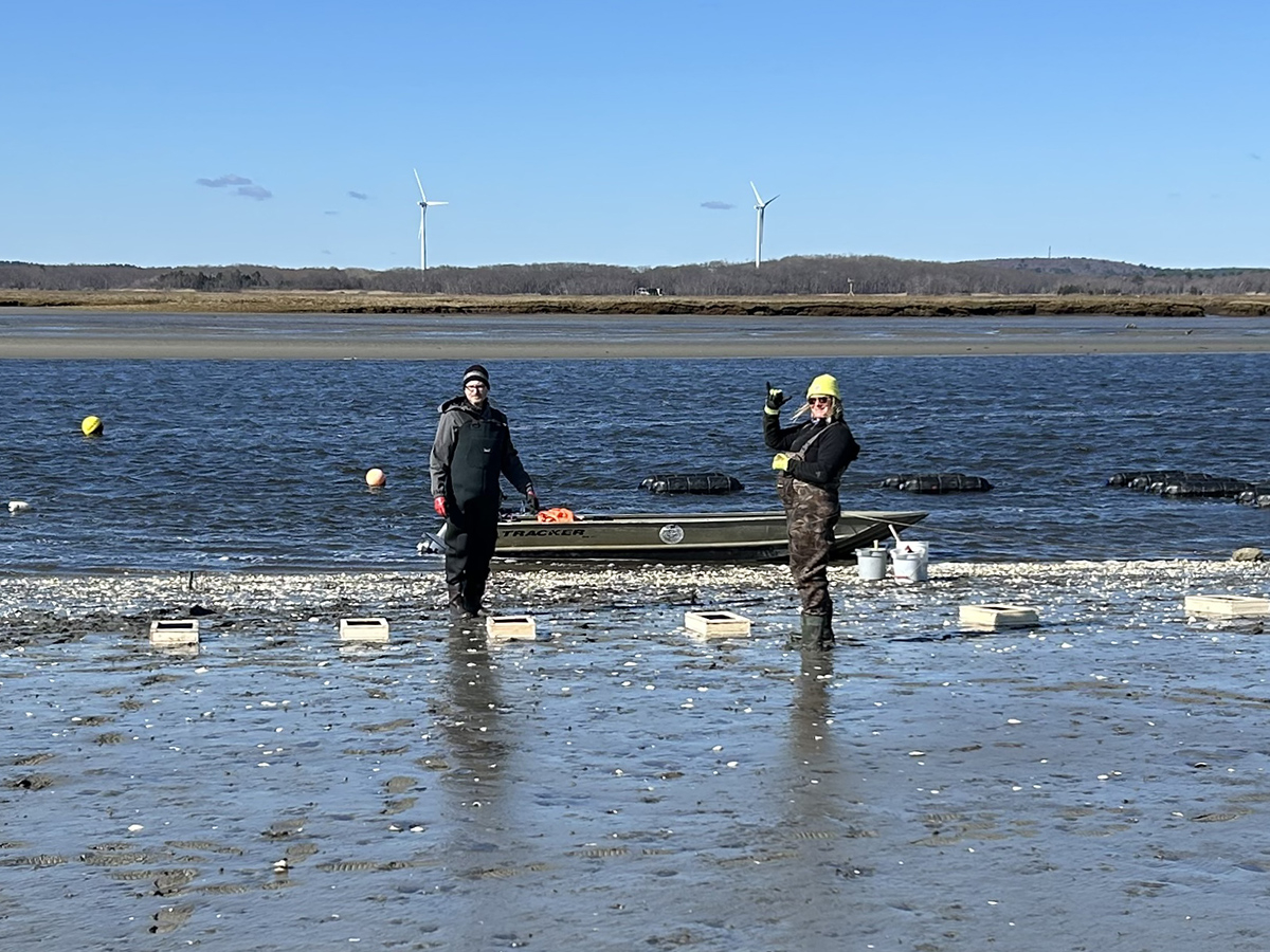 Jim McClelland (MBL) and Lindsey Wishart (Great Marsh Shellfish Company) signal success after deploying clam boxes on the Rowley River. 