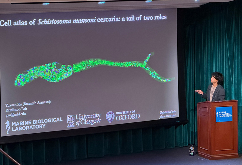 Person standing at podium and presenting in front of a screen.