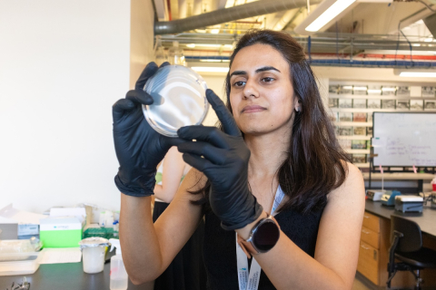 A scientist holding up a plate