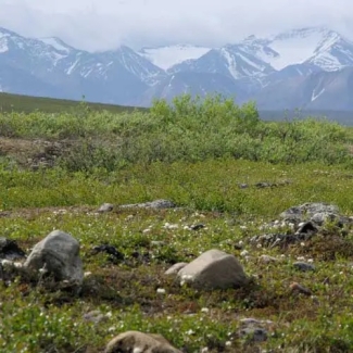 Arctic tundra and Brooks Range on Alaska's North Slope.