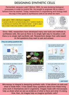 Exhibit Panel 12 - Designing Synthetic Cells