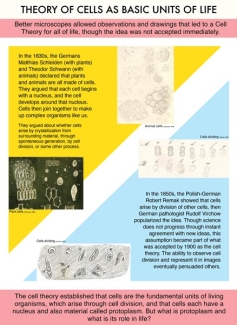 Exhibit panel 2 - Theory of Cells as Basic Units of Life