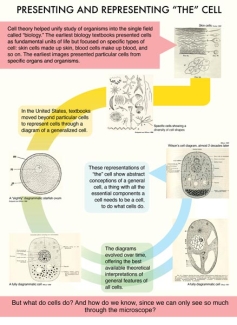 Exhibit panel 6 - Presenting and Representing "The" Cell