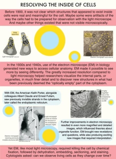 Exhibit panel 8 - Resolving the Inside of Cells