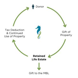 Retained Life Estate Graphic