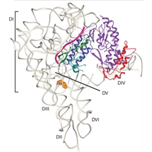 mgecluster figure 1