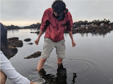 A scientist calf-deep in water at a field site