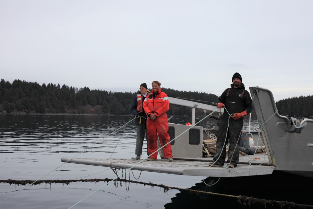 Installation and seeding of the Popof Island kelp farm