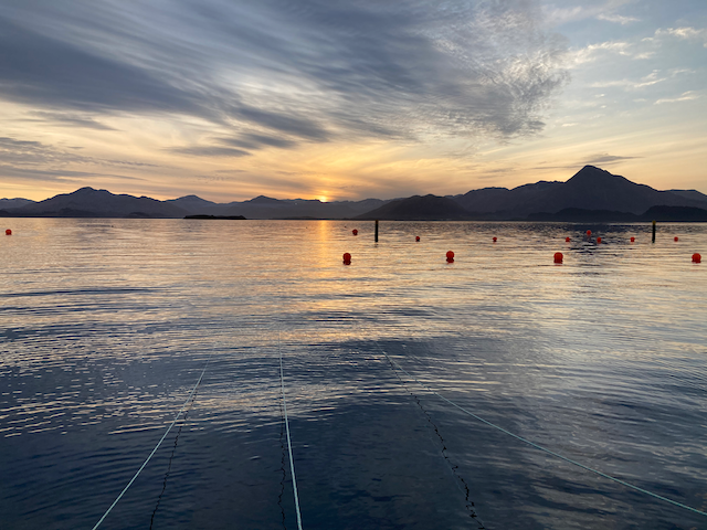 Installation and seeding of the Popof Island kelp farm