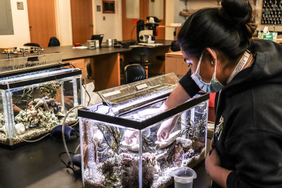 Students from Lynn Classical High School participate in the MBL's High School Science Discovery Program in February 2022. 