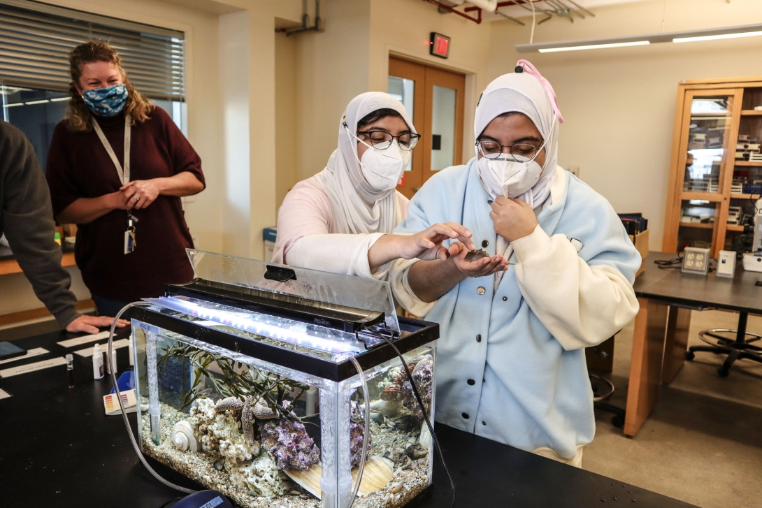 Students from Lynn Classical High School participate in the MBL's High School Science Discovery Program in February 2022. 