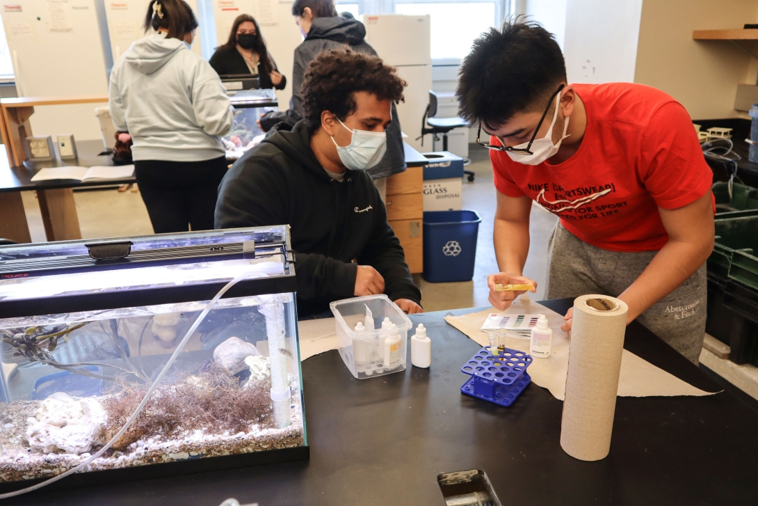 Students from Lynn Classical High School participate in the MBL's High School Science Discovery Program in February 2022. 