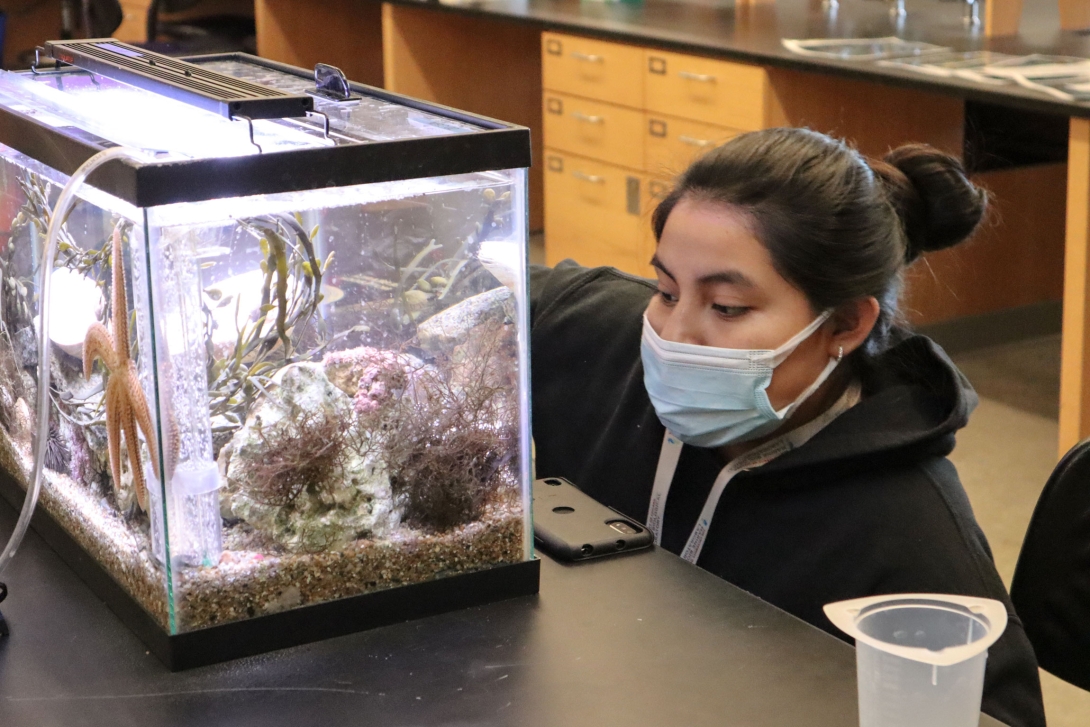 Students from Lynn Classical High School participate in the MBL's High School Science Discovery Program in February 2022. 