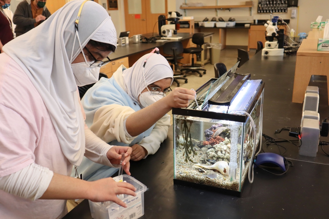 Students from Lynn Classical High School participate in the MBL's High School Science Discovery Program in February 2022. 