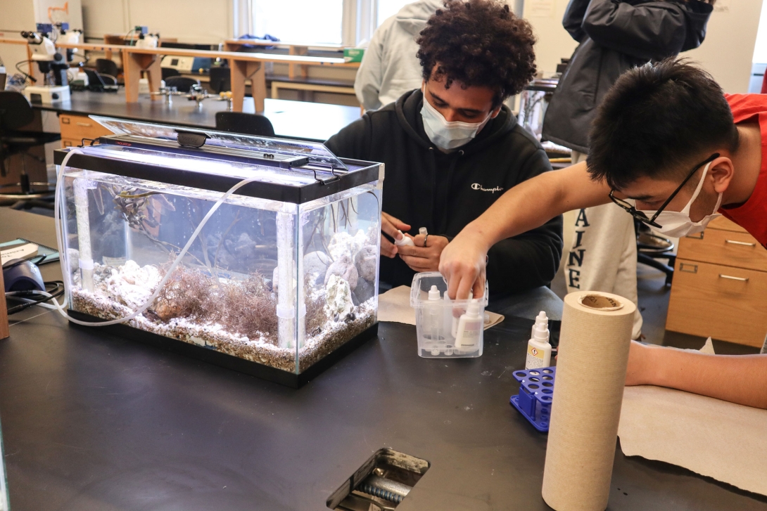 Students from Lynn Classical High School participate in the MBL's High School Science Discovery Program in February 2022. 