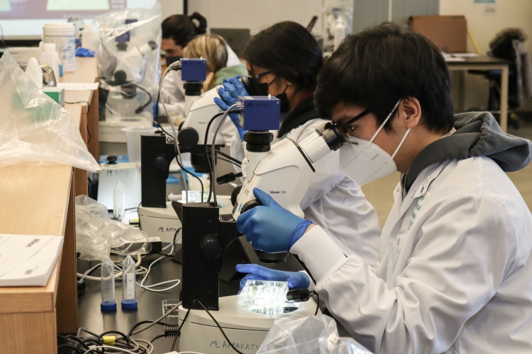 Students from Lynn Classical High School participate in the MBL's High School Science Discovery Program in February 2022. 