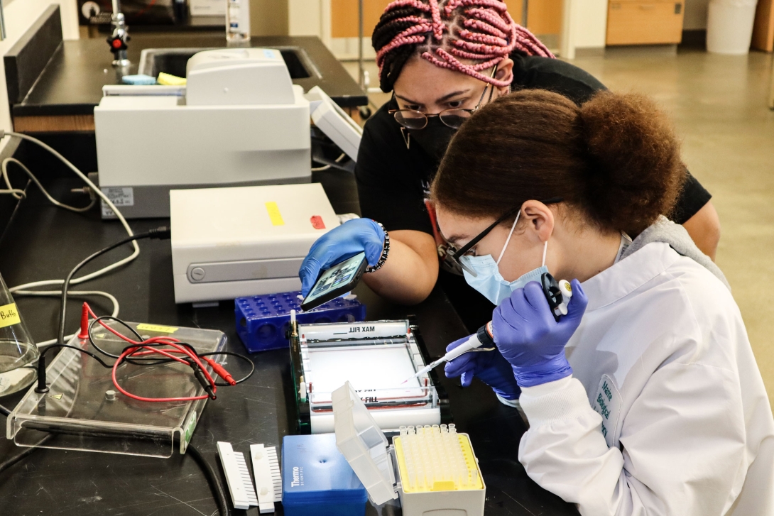 Students from Lynn Classical High School participate in the MBL's High School Science Discovery Program in February 2022. 