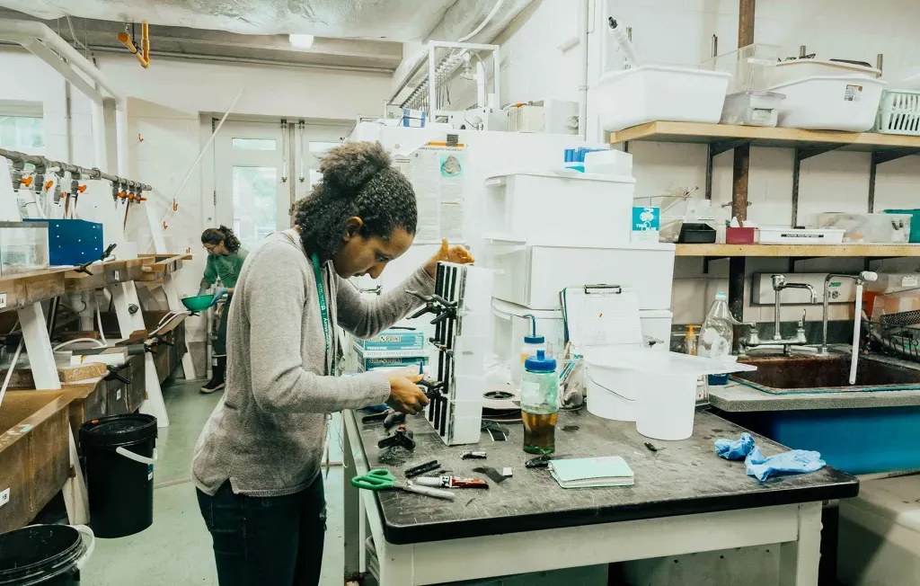 Hannah Knighton in our Cephalopod Mariculture Room. Credit: Megan Costello