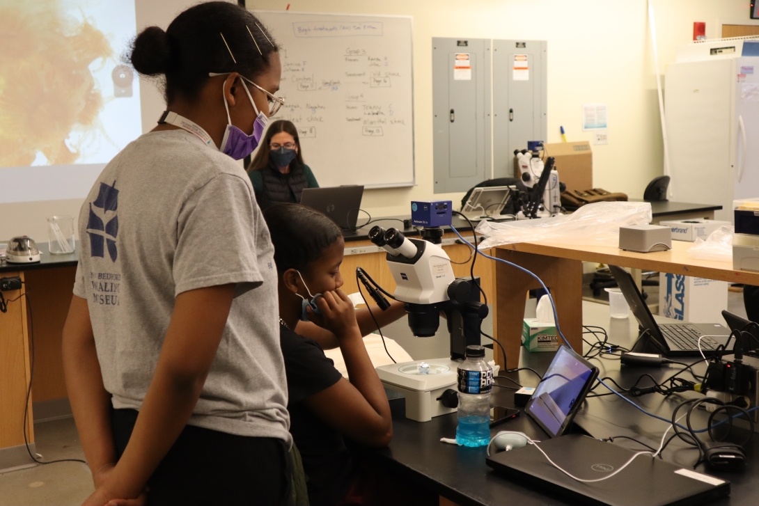 Students from the New Bedford Whaling Museum Apprenticeship participates in a High School Science Discovery Course at the MBL. Credit: Emily Greenhalgh