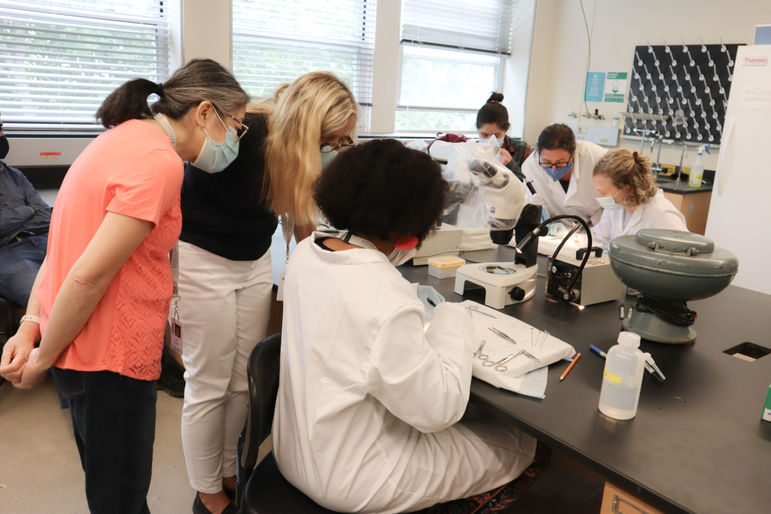 Faculty from other courses check out the ECHO lab. Credit: Emily Greenhalgh