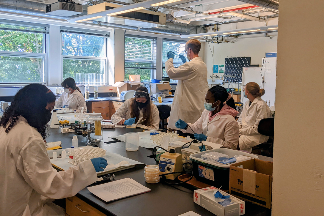 Students in a lab