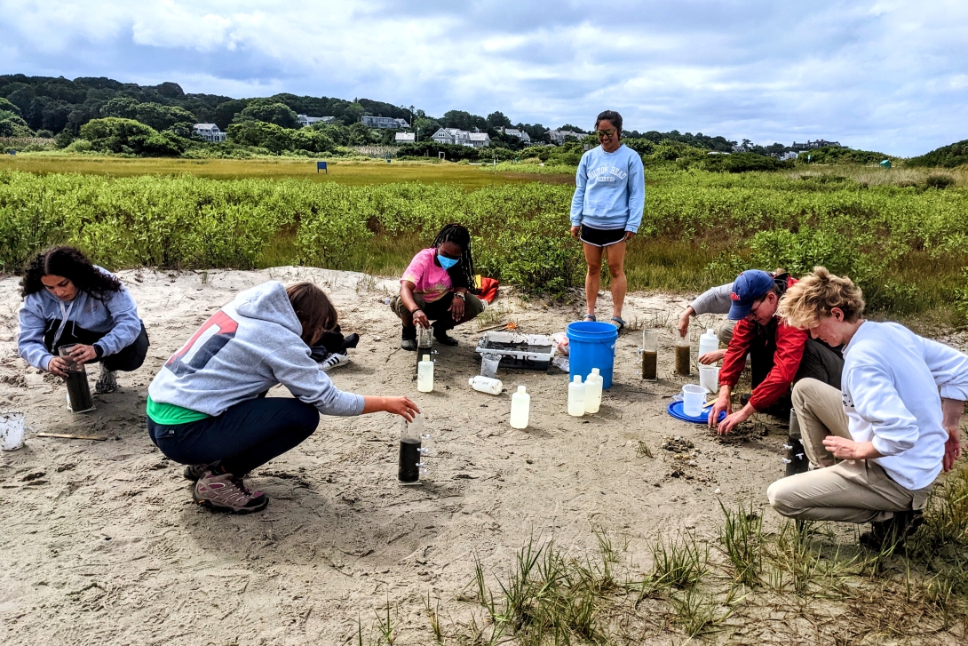 Students take samples on a beach