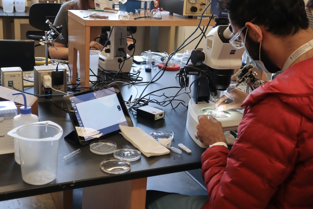 A student in the 2022 Mini-Embryology Course sets up his microscope and workstation. Credit: Emily Greenhalgh