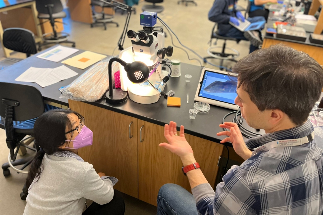 Course director talks to assistant professor in lab. In front of microscope. butterfly pupae on screen