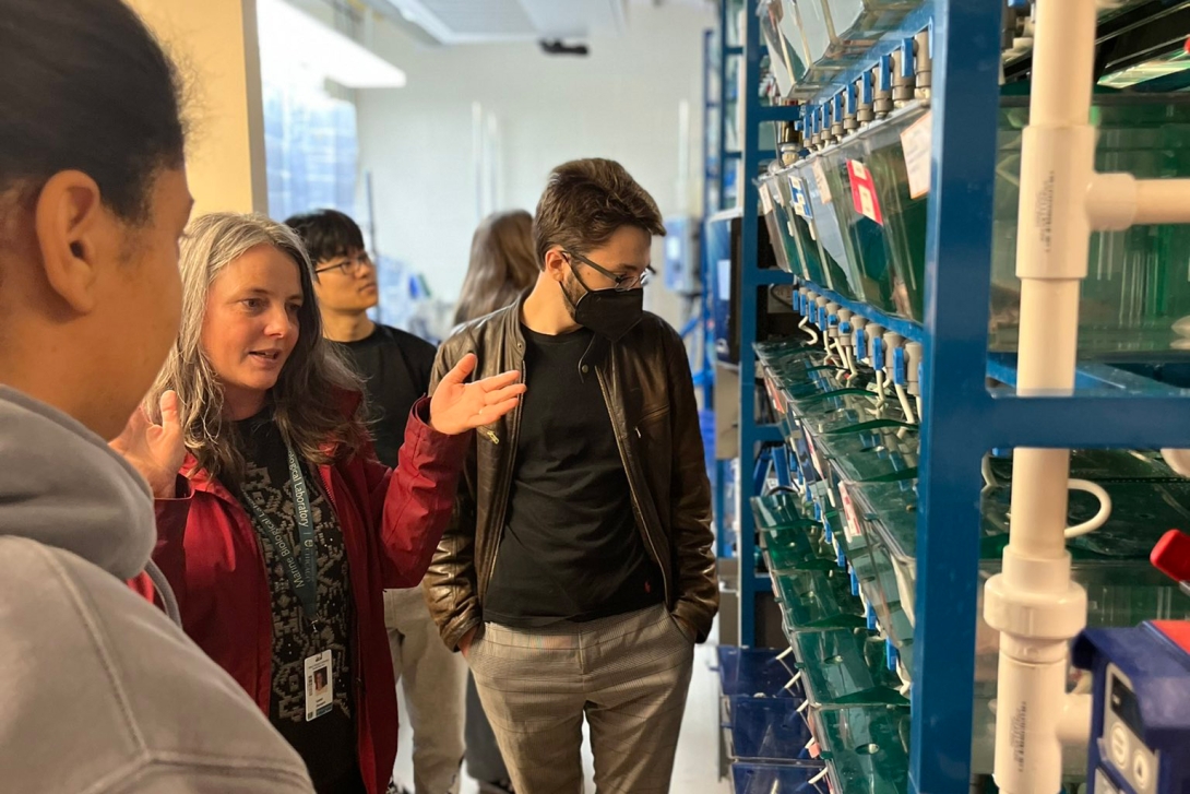 Students tour an axolotl lab. Tanks on right.