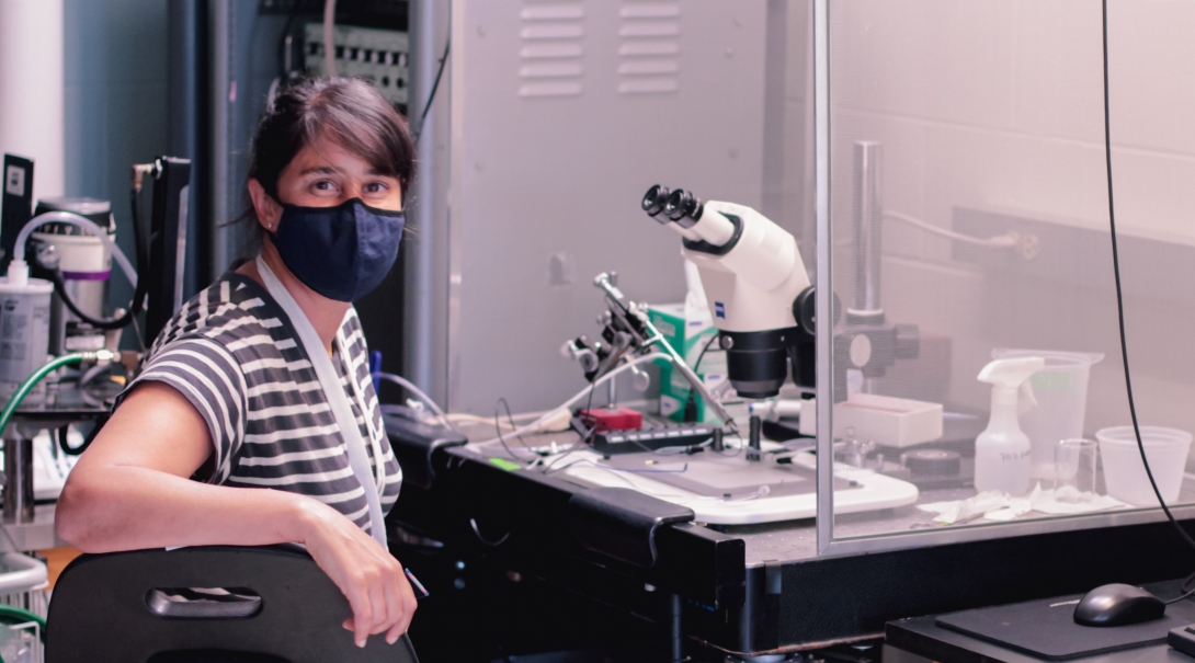 Maya Kaelberer sets up her microscope to look at the synapse between neuropod cells in the gut and the vagus nerve. Credit: Horst Andreas Obenhaus