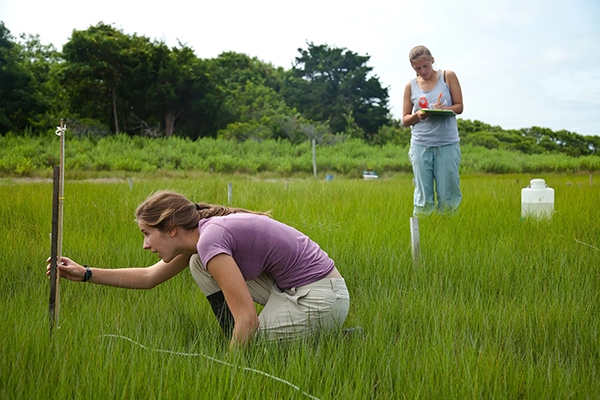 women in the field