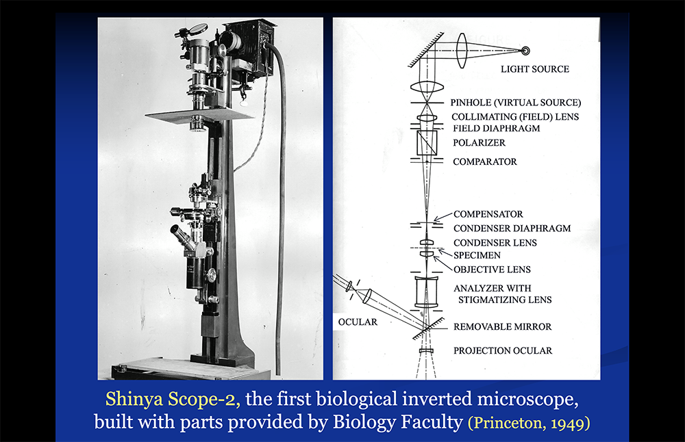 shinya microscope