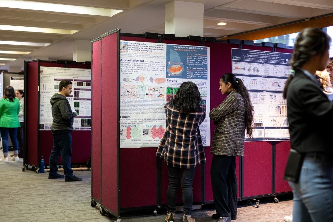 The student poster session at the Embryology Course 130th Anniversary Symposium. Credit: Dee Sullivan