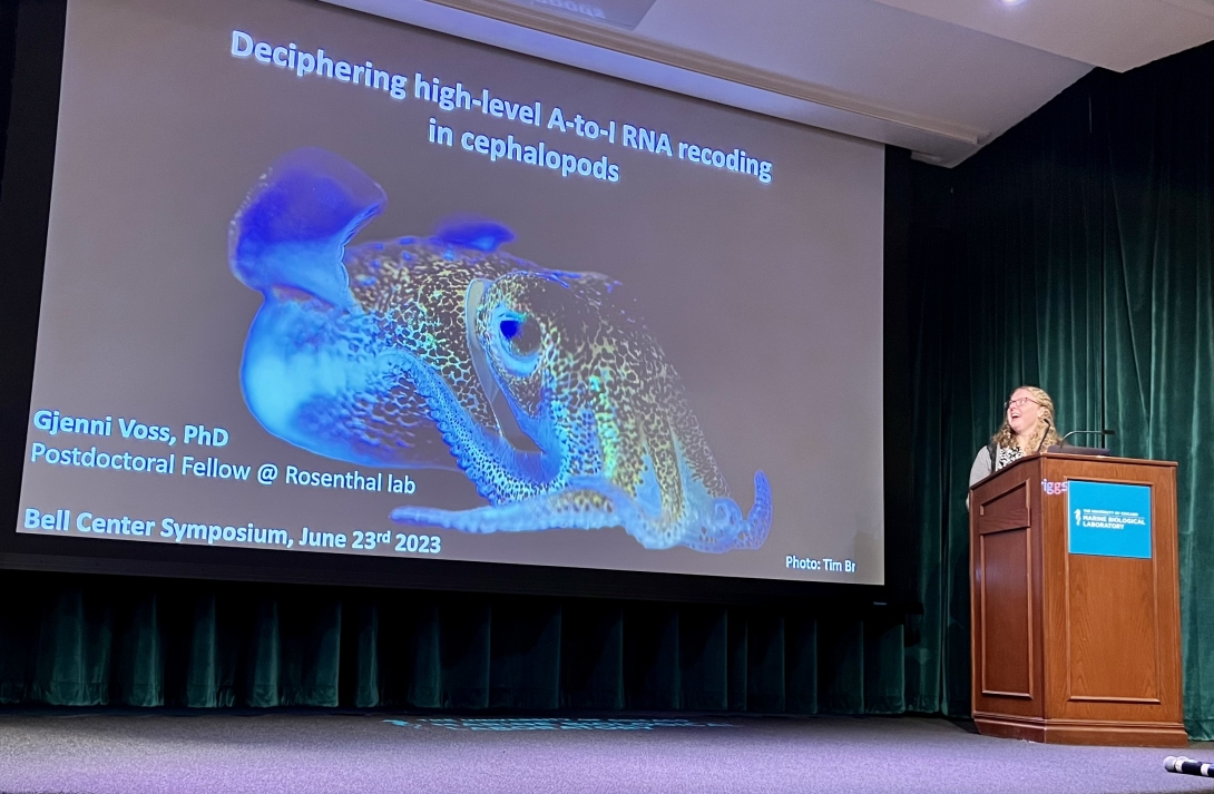 Gjenni Voss, a postdoctoral fellow in the MBL's Rosenthal Lab discusses her research. Credit: Maria Silva