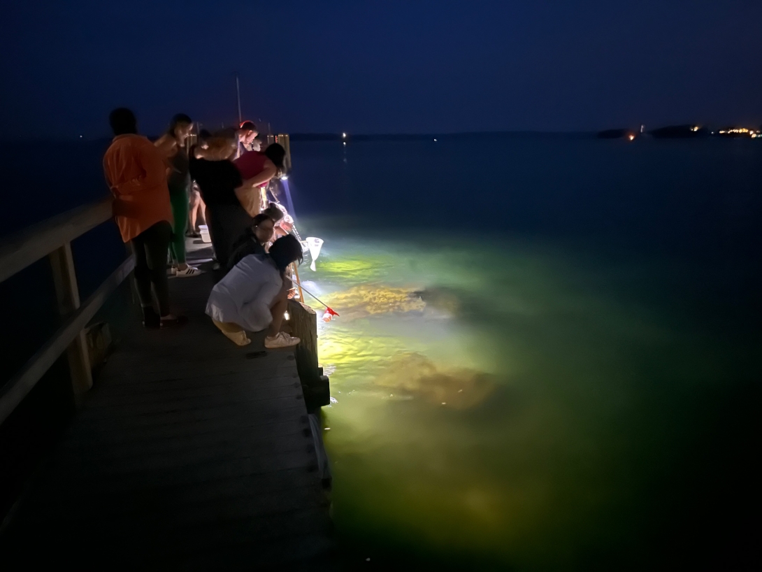 Students from the 2023 Embryology course hunt for worms. Credit: Carrie Albertin