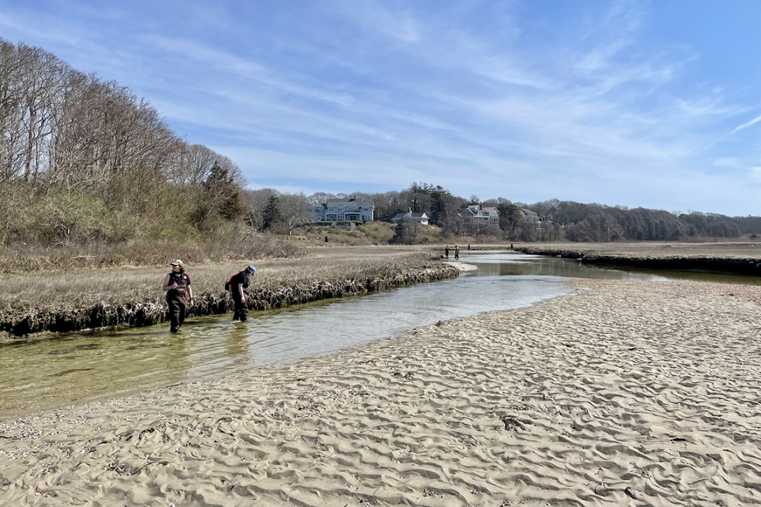 students doing field work in the river