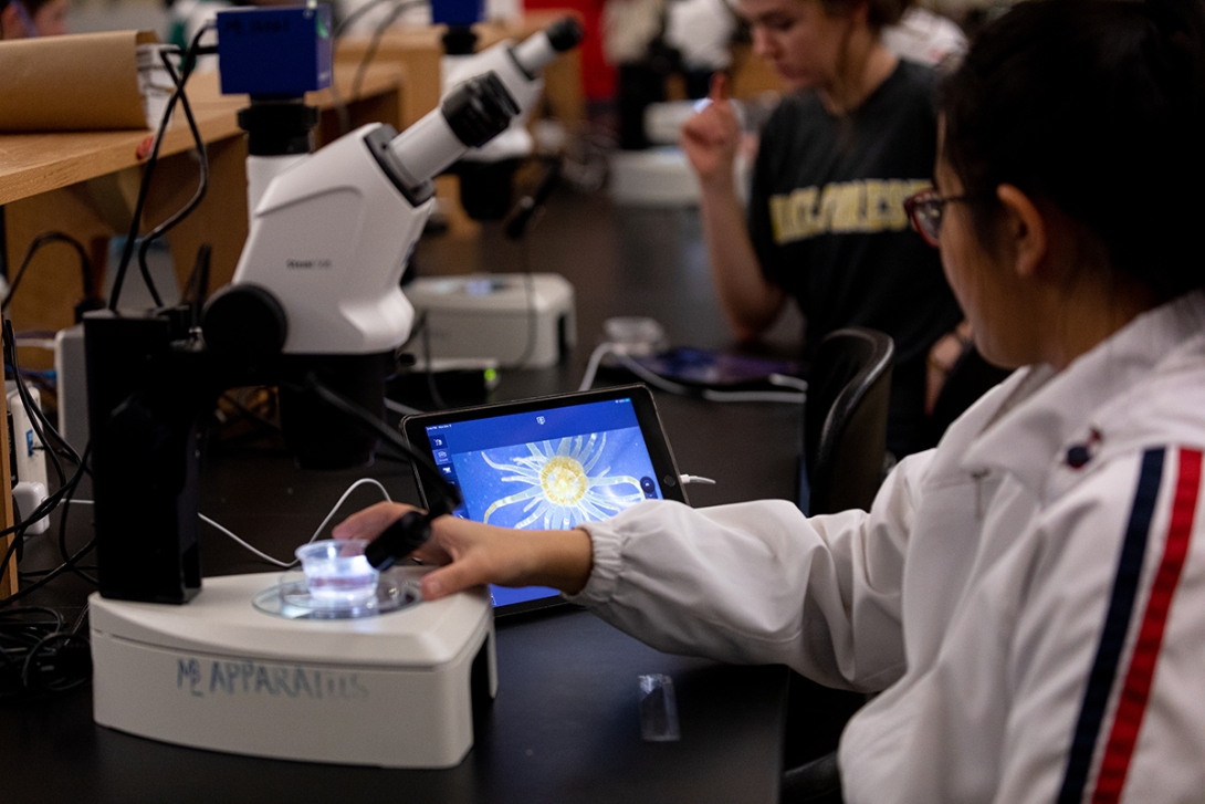 Students from the St. Anne's-Belfield School image corals on microscopes