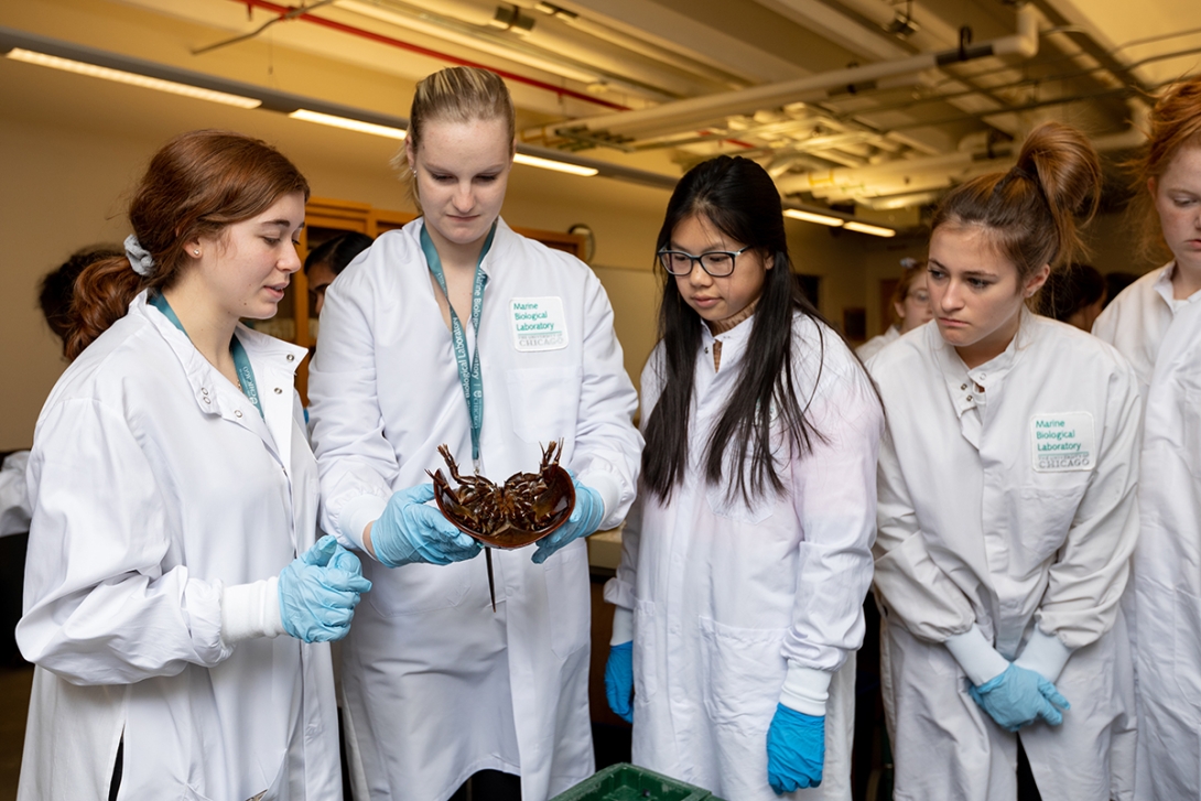 Students from Hockaday School holding a horseshoe crab.