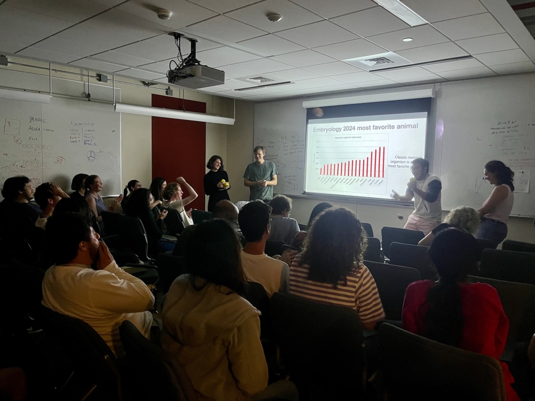 2024 Embryology students present an analysis of the cohort's favorite research organisms.