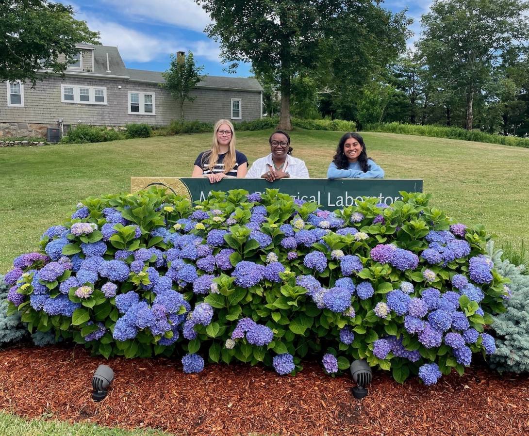 2024 Whitman and EE Just Fellow Sally Seraphin stands behind the MBL sign with Trinity College undergrads Eva Beiga and Rajsi Rana