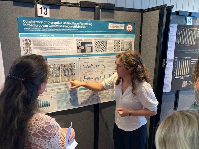 poster session