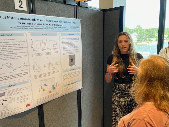 poster session