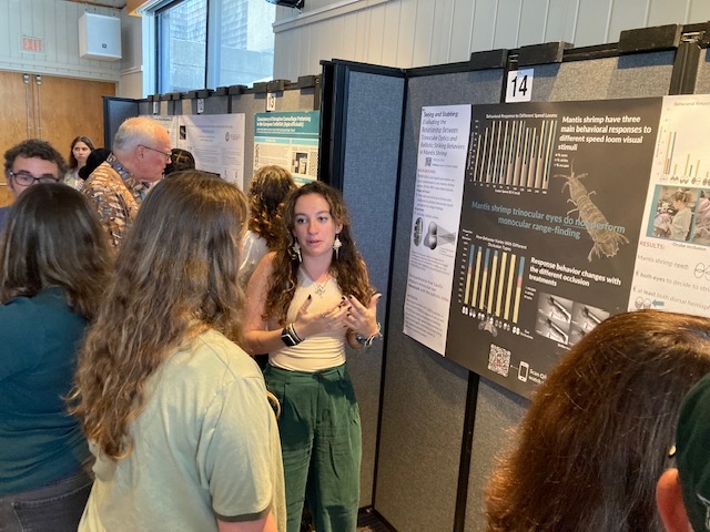 poster session