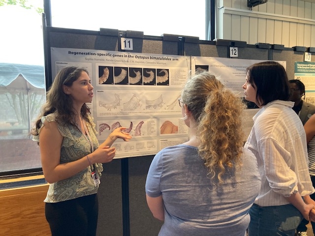 poster session