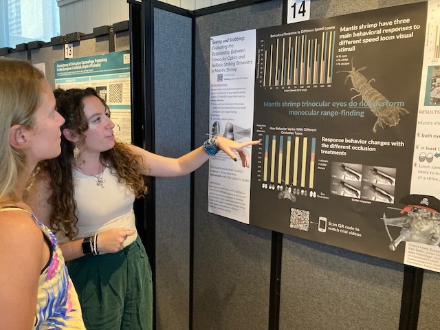 poster session