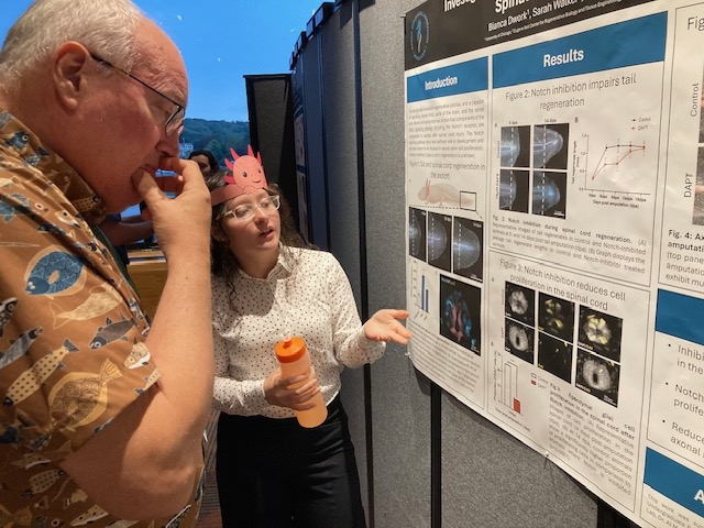 poster session