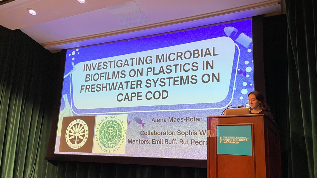 Alena Maes-Polan, Hampshire College - Investigation of Microbial Biofilms Colonizing Macroplastics found in Freshwater Ecosystems