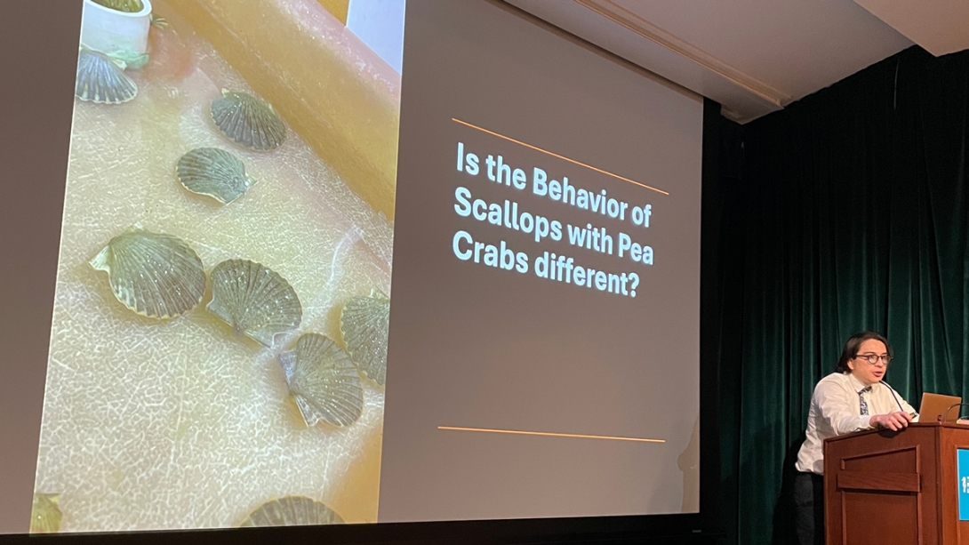 Bryan Miranda, University of Chicago - Friend or Foe: Investigating the Impact of Pea Crab Presence on Scallop Respiration, Behavior and Condition