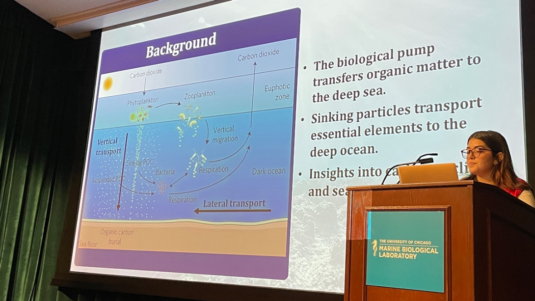 Angelina Lopez Peinado, Oregon State University - Characterization of Grain Size Distribution and Carbon Content of Deep-Sea Floor Sediments in the Deep Sargasso Sea