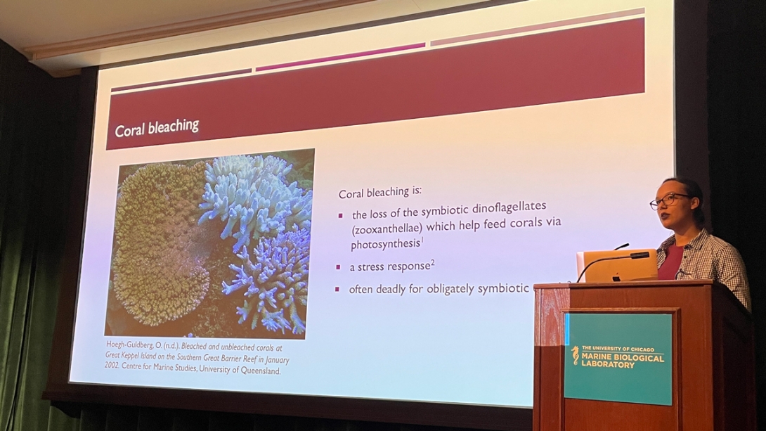 Mycreta Johnston, Massachusetts Institute of Technology - Reactive Oxygen Species (ROS) Production and Bleaching in Astrangia Poculata Exposed to Heat and Oxidative Stress